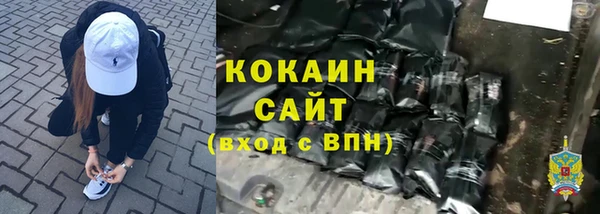метадон Алексин