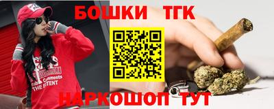шишки Заволжье
