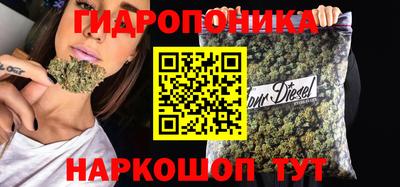 винт Донской