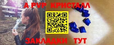 шишки Заволжье