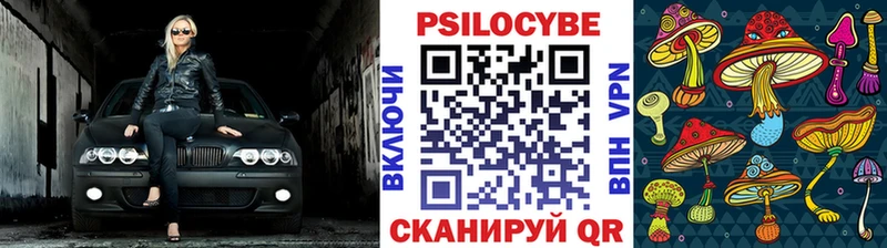 Галлюциногенные грибы Cubensis  сайты даркнета официальный сайт  Муравленко 