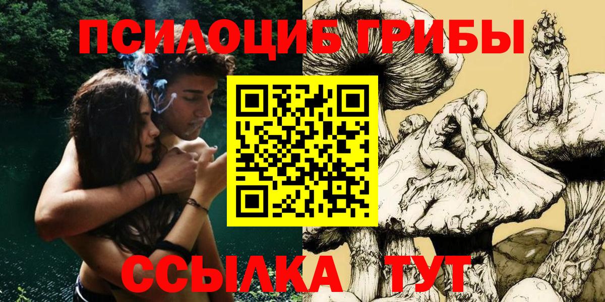 Галлюциногенные грибы Psilocybine cubensis Муравленко